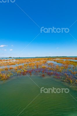 Venice Italy lagune view