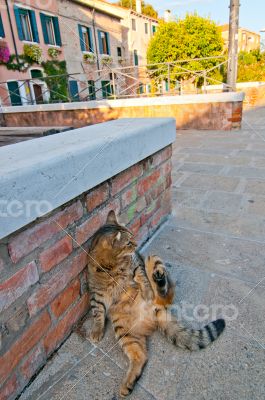 Venice Italy unusual scenic view