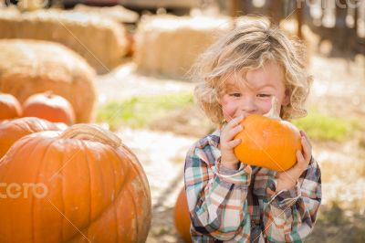 Little Boy Sitting and Holding His Pumpkin at Pumpkin Patch