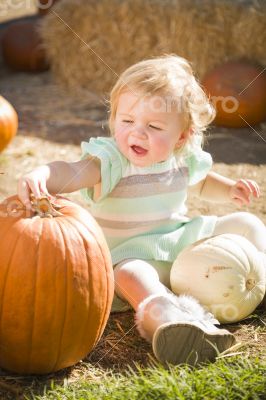 Adorable Baby Girl Holding a Pumpkin at the Pumpkin Patch