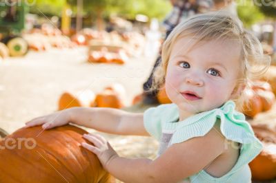 Adorable Baby Girl Having Fun at the Pumpkin Patch