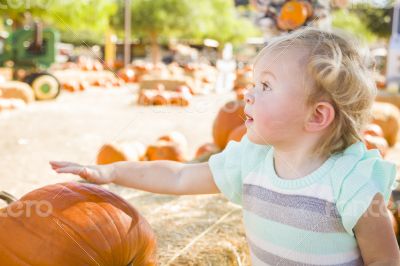 Adorable Baby Girl Having Fun at the Pumpkin Patch