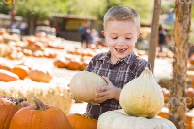 Little Boy Gathering His Pumpkins at a Pumpkin Patch