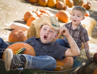 Two Little Boys Playing in Wheelbarrow at the Pumpkin Patch