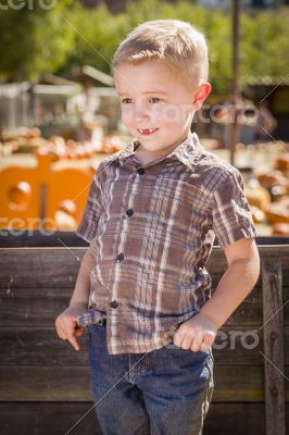 Little Boy With Hands in His Pockets at Pumpkin Patch