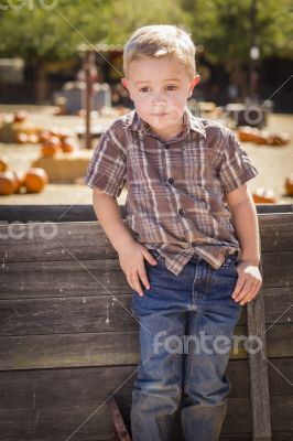 Little Boy With Hands in His Pockets at Pumpkin Patch