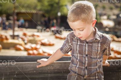 Sad Boy at Pumpkin Patch Farm Standing Against Wood Wagon