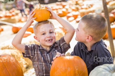 Two Boys at the Pumpkin Patch Talking and Having Fun