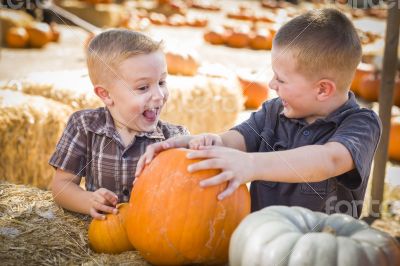 Two Boys at the Pumpkin Patch Talking and Having Fun