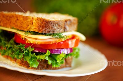 Close up of sandwich