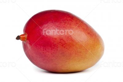 Ripe Mango