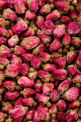 Closeup of roses for tea background