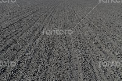 Arable