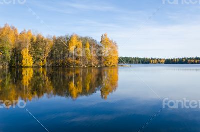 Fall reflections in water