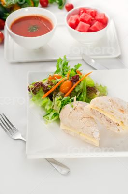 tuna and cheese sandwich with salad