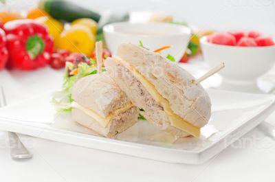 tuna and cheese sandwich with salad