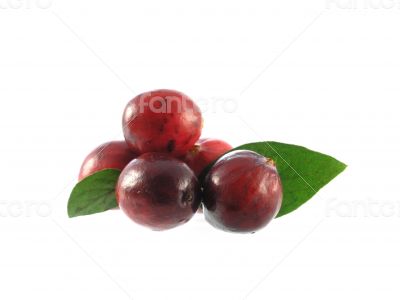 cranberries