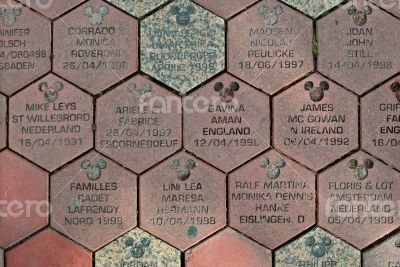 Background from paving slabs. Background from paving slabs.