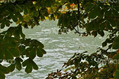 Water in window leaves.