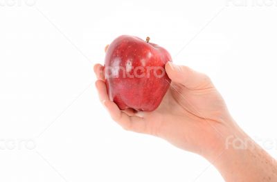 A Hand Holding a Red Apple on White