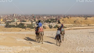 People riding a Camels and a horse