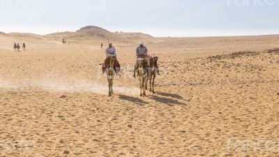Camel ride in the desert