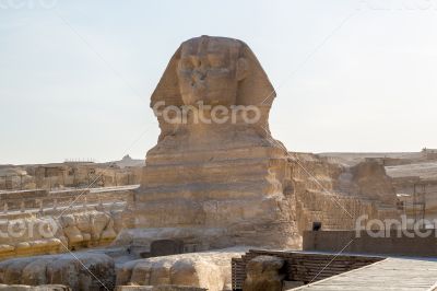 Sphinx