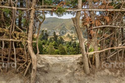 View through the gate