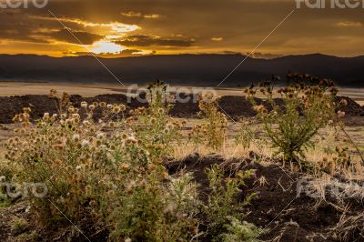 Ethiopian rural landscape