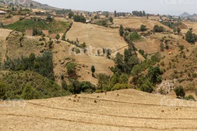 Hilly landscapes of Ethiopia Hilly landscapes of Ethiopia