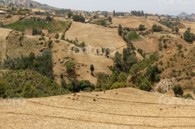 Hilly landscapes of Ethiopia