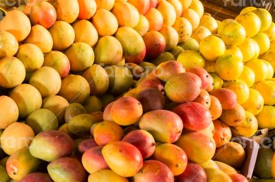 Ripe mangos at the market