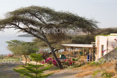 Shores of Langano Lake