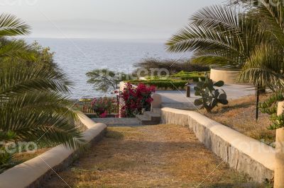 Shores of Langano Lake