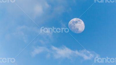 View of the moon during the day