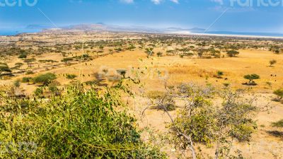 Abjatta-Shalla national park