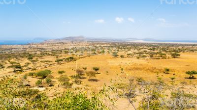 Abjatta-Shalla national park