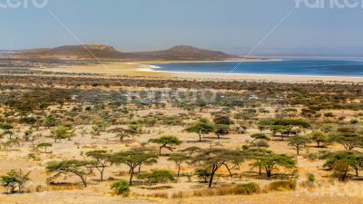 Abjatta-Shalla national park