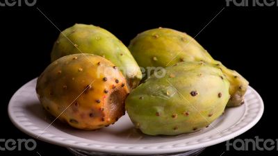 Prickly pear cactus