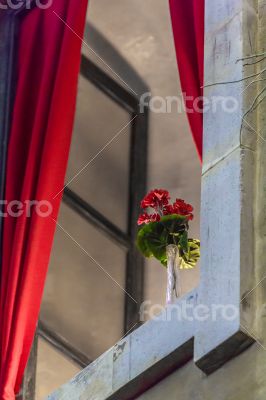 Flower on the ledge