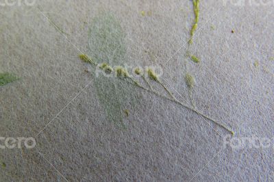 Handmade Paper Series 50