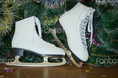 Gift for New year and Christmas - womens skates with beautiful w
