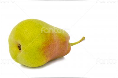 Large pear on a white background