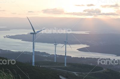 Wind turbine farm with rays of light at sunset