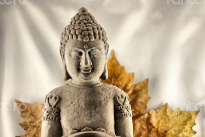Budda Head Budda Head