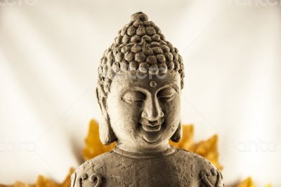 Budda Head Budda Head