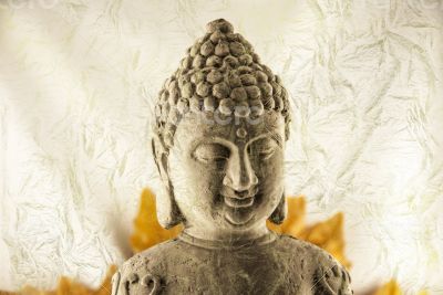 Budda Head Budda Head