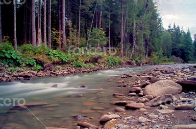 Flowing water of Carpathian mountain stream 