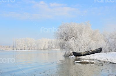 Frosty winter trees near Danube river