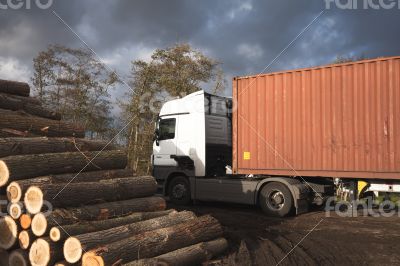 Transporting trees with a truck